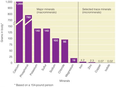 Bar graph showing body content of major and trace minerals