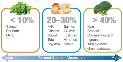 Percent calcium absorption from various foods