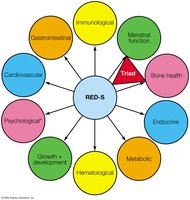 Diagram of RED-S effects on body systems
