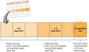 Carbohydrate loading schedule