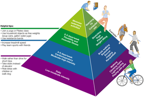 Physical Activity Pyramid illustrating types and frequency of activities