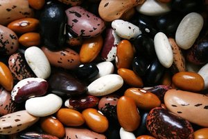 Beans and legumes as sources of oligosaccharides