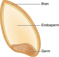Diagram of a whole grain showing bran, endosperm, and germ