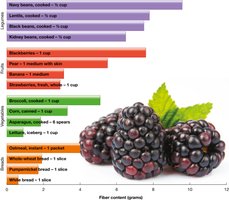 Bar graph showing fiber content of common foods such as beans, fruits, vegetables, and grains