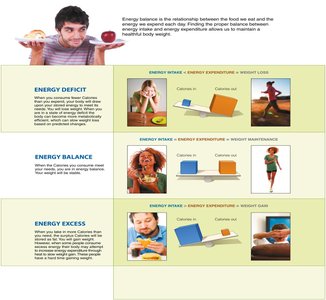 Energy balance scenarios: deficit, balance, excess