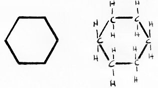 Steroid ring structure