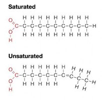 Structural comparison of saturated and unsaturated fatty acids