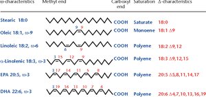 Table of fatty acid nomenclature and characteristics