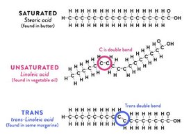 Comparison of saturated, unsaturated, and trans fatty acids
