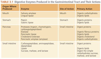 Digestive enzymes table