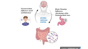 Diagram showing gut-brain axis and enteric nervous system