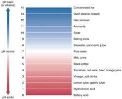pH scale showing gastric juice acidity