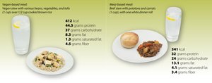 Comparison of vegan and meat-based meals