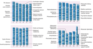 Epigenetic modulation by environmental and lifestyle factors
