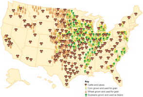 Map showing major U.S. centers of cattle, corn, wheat, and soybean production