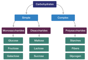 Carbohydrate classification scheme