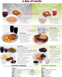 A day of meals: low vs high nutrient density