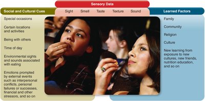 Factors that drive food choice: social, sensory, learned