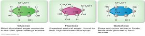 Structures of glucose, fructose, and galactose