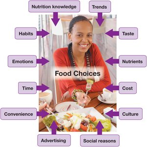 Diagram of factors influencing food choices