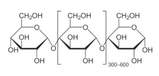 Polysaccharide structure: repeating glucose units