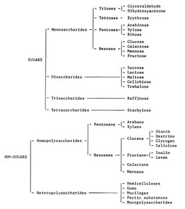 Carbohydrate classification chart