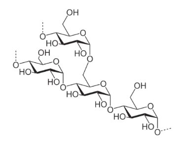 Amylopectin chemical structure