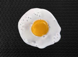 Egg yolk as a source of lecithin (phospholipid)
