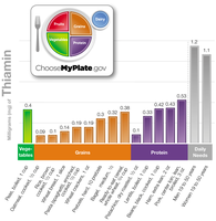 Thiamin content in selected foods