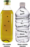 Fat-soluble and water-soluble vitamins