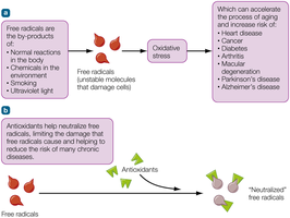 Free radicals and antioxidants