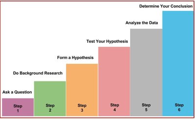 Steps of the Scientific Method