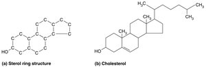 Sterol ring structure and cholesterol molecule