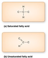 Saturated and unsaturated fatty acid structures