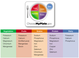 Minerals found in MyPlate food groups