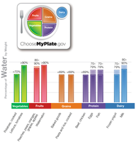 Water content of various foods