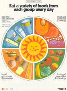 Canada's Food Guide circular food group illustration