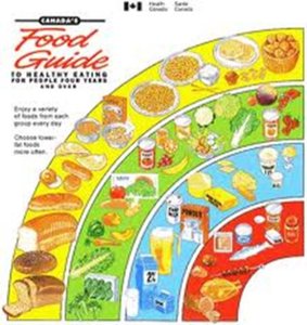 Canada's Food Guide rainbow illustration