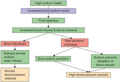 Nutrition label for low-sodium spaghetti sauce