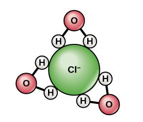 Chloride ion surrounded by water molecules