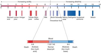 pH scale showing acidity and alkalinity, with blood pH highlighted