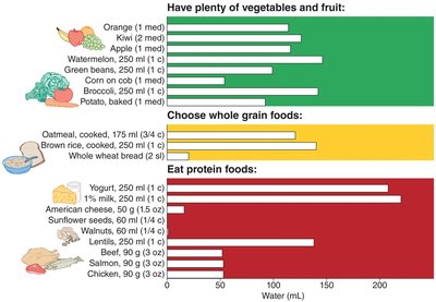 Bar graph showing water content of various foods