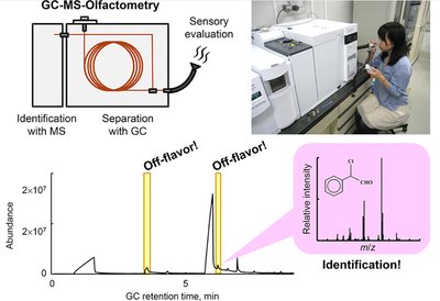 Table of aroma compounds detected by humans
