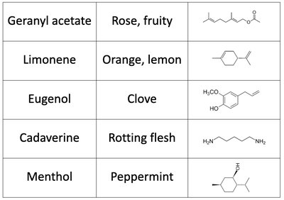 Peach flavor profile