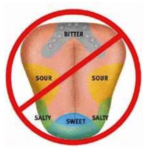 Diagram of tongue taste regions (debunked)
