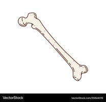 Athlete's plate: balanced meal for sports nutrition