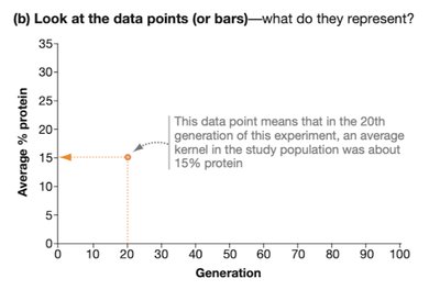 Data point interpretation on graph