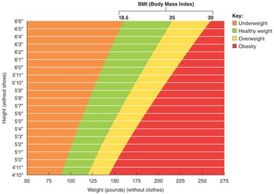 BMI chart showing weight categories by height and weight