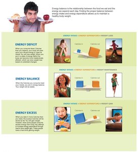Energy balance: deficit, balance, and excess