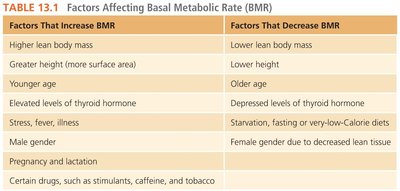 Table of factors affecting BMR